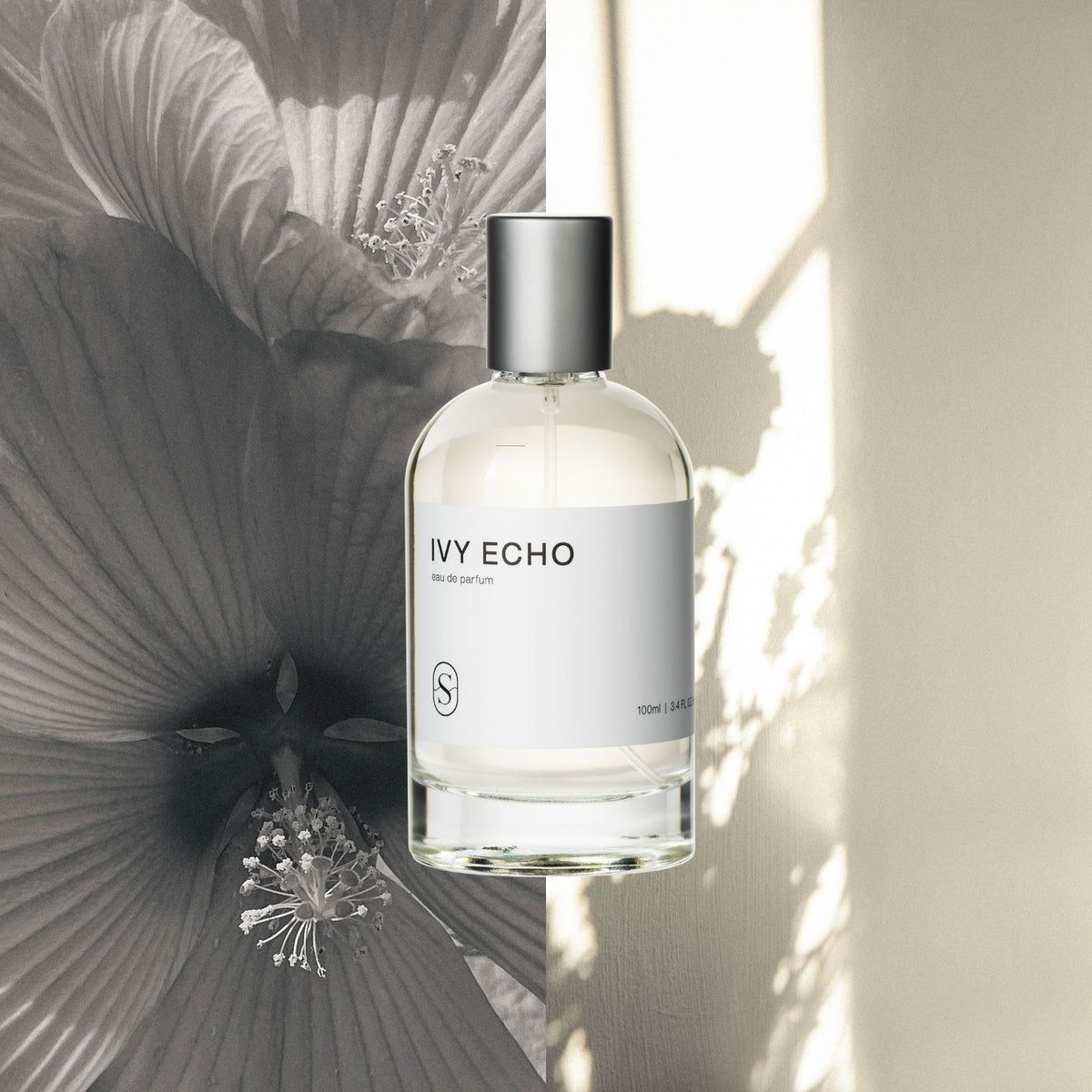 Ivy Echo